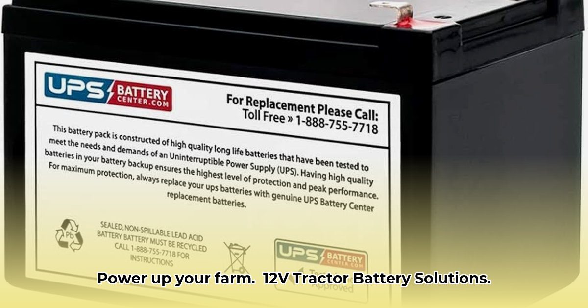 12-volt-battery-tractor-supply